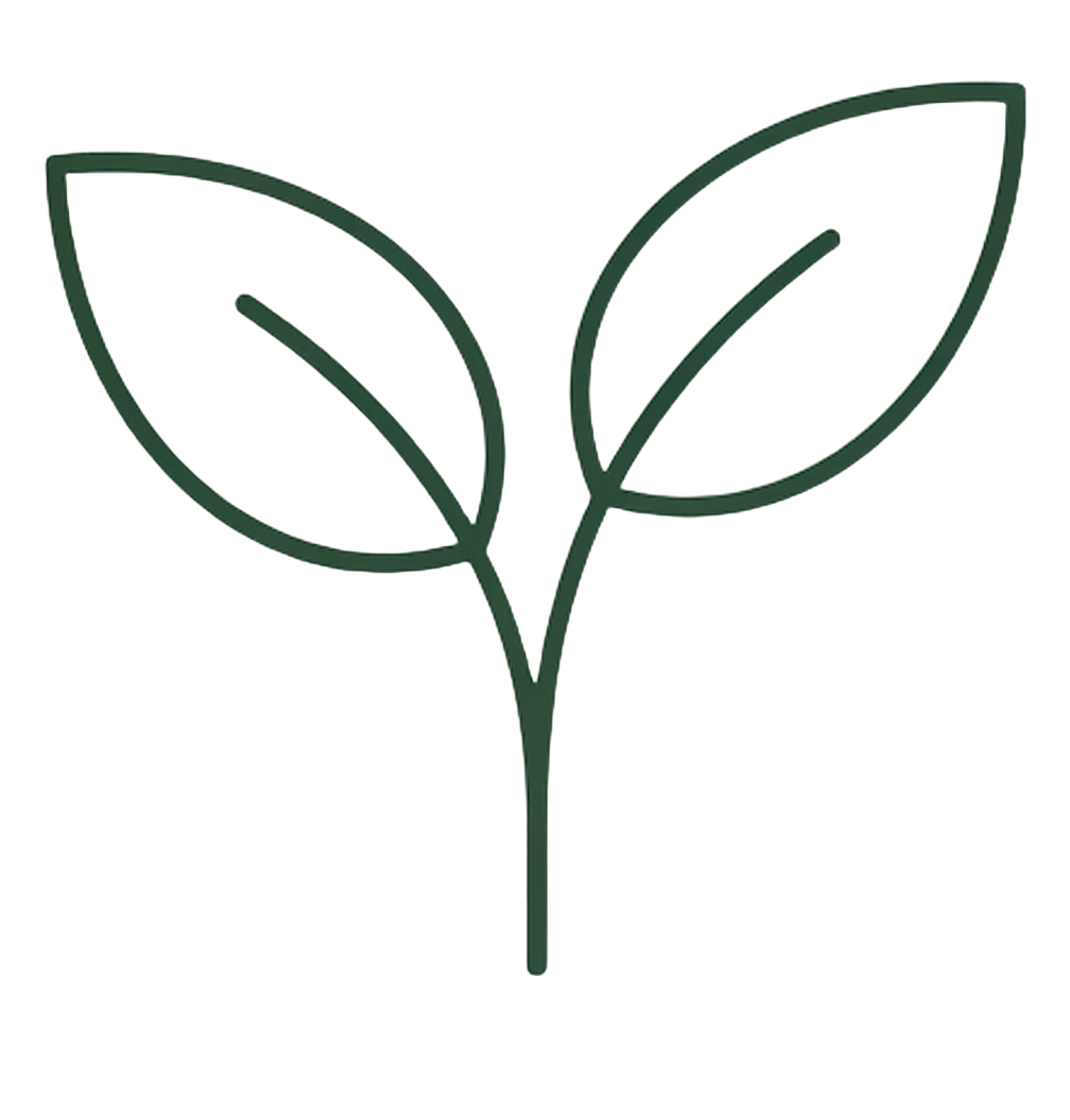 sprout-icon-transparent Minimalist line-art icon of a small sprout with two leaves, symbolizing growth and development. Thin monochrome dark green lines, refined editorial aesthetic, clean vector style, centered, transparent background. No fill, no white background, pure transparent PNG.