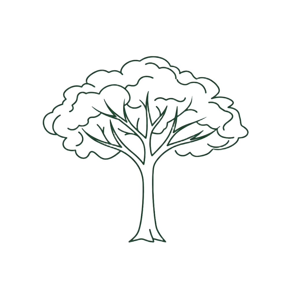 Minimalist line-art icon of a mature tree with a strong trunk and balanced canopy. Thin monochrome dark green lines, elegant botanical illustration, editorial style, clean vector, centered, timeless, no roots, no landscape, no shading, no text.