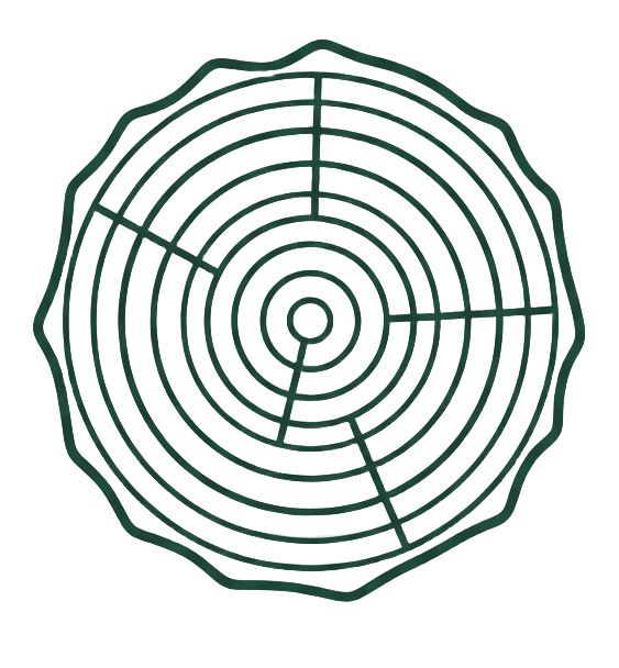 Minimalist line-art icon of tree rings viewed from above, symbolizing memory and the passage of time. Thin monochrome dark green concentric circles with subtle radial lines, elegant botanical illustration, clean vector style, transparent background, centered, timeless, no fill, no gradients, no text